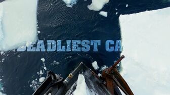 Deadliest Catch S22E12-HDTV-X264-NGP