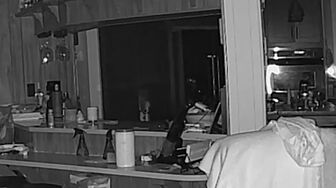 Paranormal Caught on Camera S12E03 The Green Lady of Scotland 1080p DISC WEB-DL AAC2 0 H 264-RAWR ff