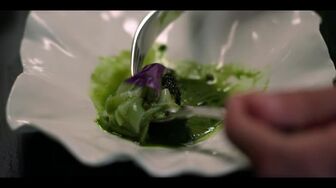 Best of the World with Antoni Porowski S01E01 WEB H264-RBB