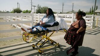 1000-lb Roomies S02E03-HDTV-X264-NGP